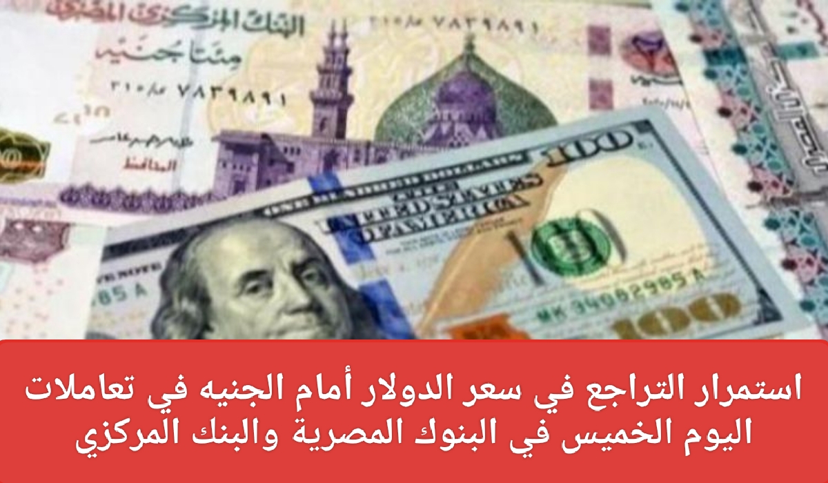 سعر الدولار اليوم في مصر 2024