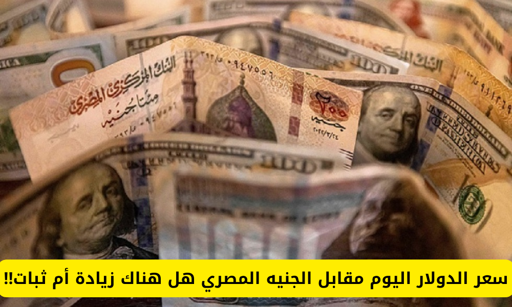 سعر الدولار اليوم مقابل الجنيه المصري