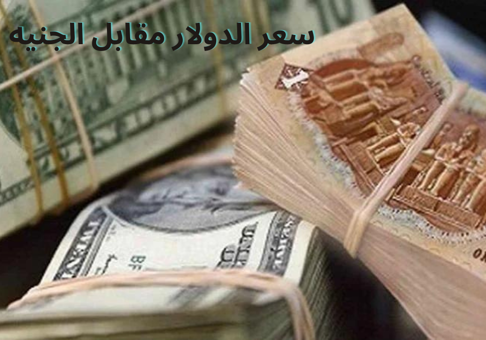 سعر الدولار مقابل الجنيه المصري اليوم 