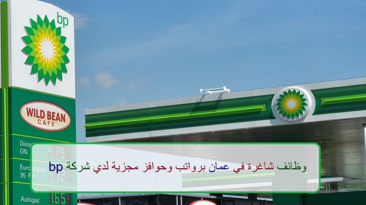 فرصة لا تعوض .. إلحق التقديم لأقوى وظائف شركة النفط والغاز العالمية BP بسلطنة عمان عبر هذا الرابط 