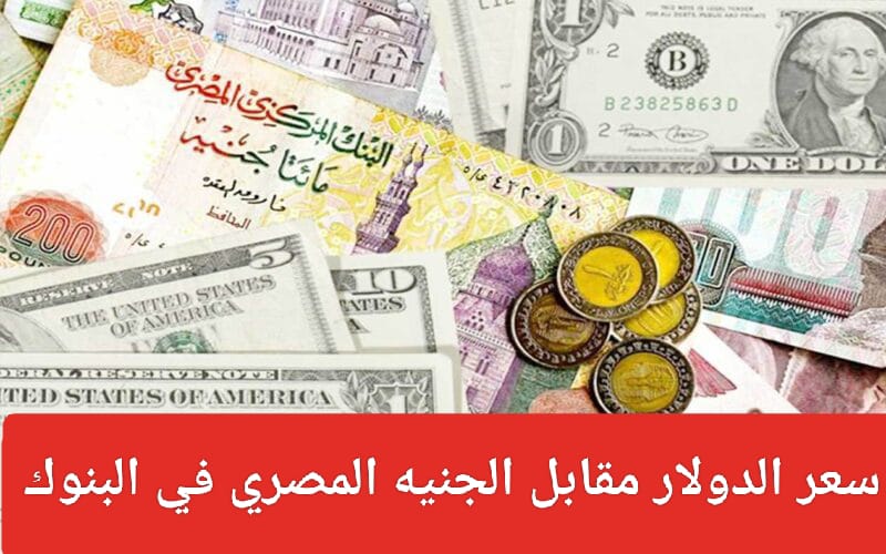 سعر الدولار مقابل الجنيه المصري اليوم