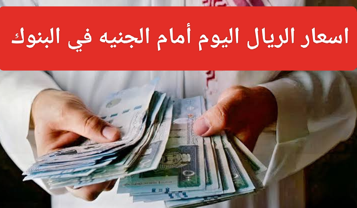 ثبات سعر الريال مقابل الجنيه المصري