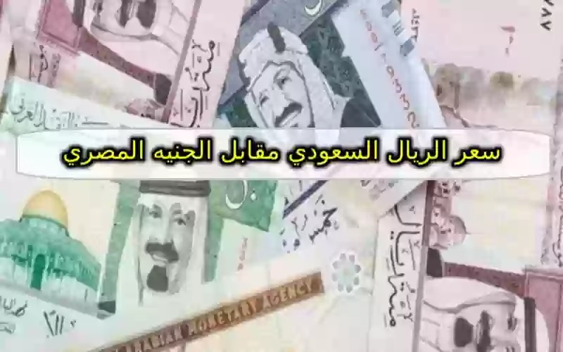 سعر الريال السعودي أمام الجنيه المصري