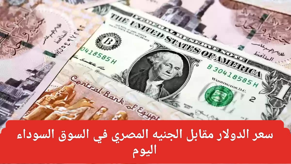 سعر الدولار مقابل الجنيه المصري اليوم